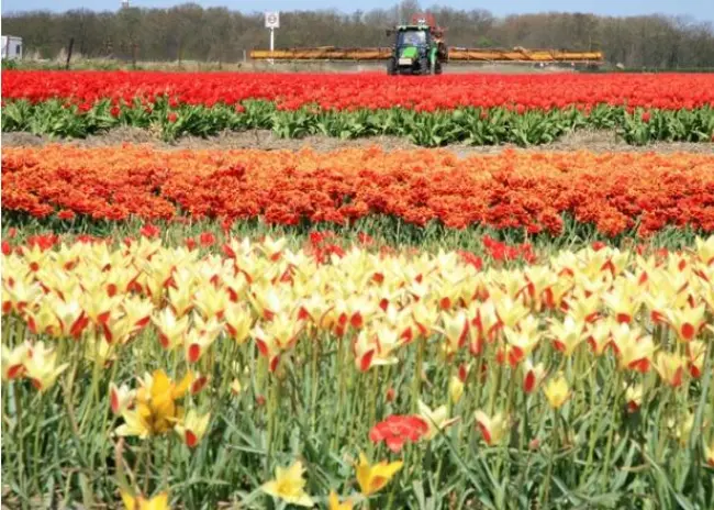 Natuurvergunning nodig voor bepaalde teelten?