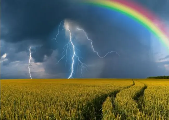 Onderzoek fiscale klimaat- en calamiteitenreserve land- en tuinbouw