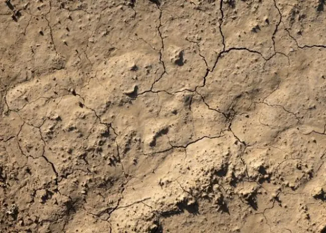 Droogte geeft informatie voor de agrariër